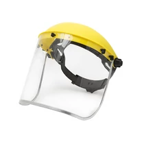 Gesichtsschild (Handy)