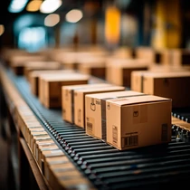 Sonderverpackung á 100 Stück