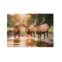 Puzzle aus eigenem Foto (300-teilig)