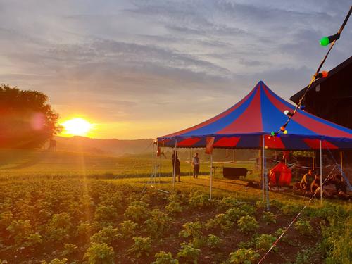 So arbeitet das Festival Sound of Juggling mit Phoenix Print zusammen!